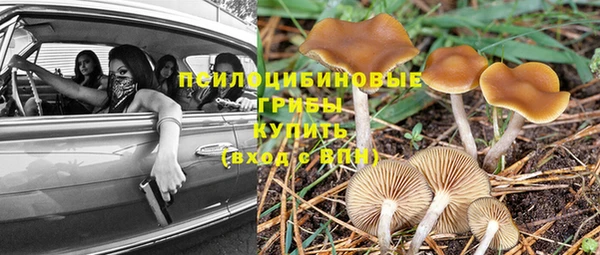 амф Вязьма