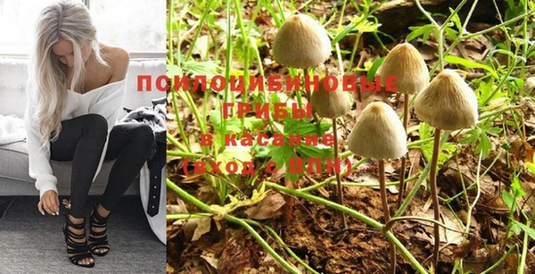 MESCALINE Вяземский