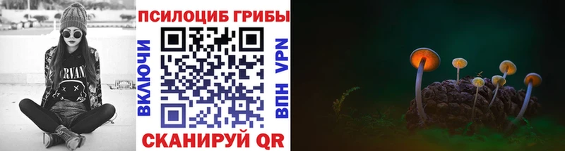 Псилоцибиновые грибы MAGIC MUSHROOMS  цены   Меленки 